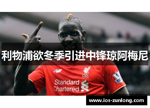 利物浦欲冬季引进中锋琼阿梅尼